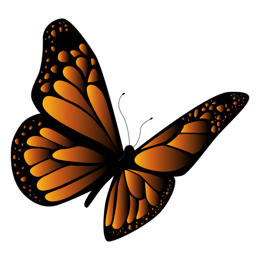 512x512 Orange And Black Butterfly Vector