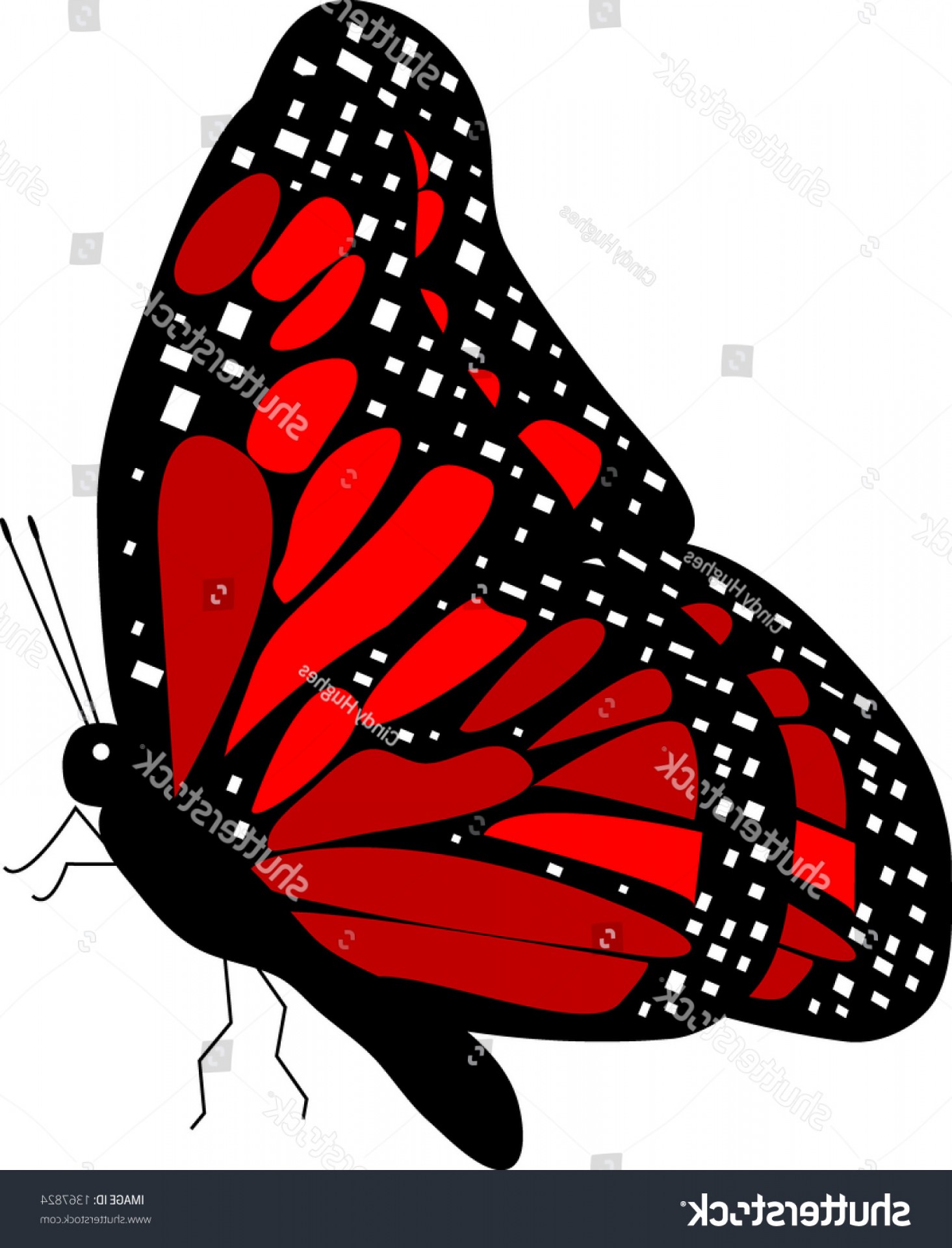 Free Free 157 Svg Butterfly Side View Flying SVG PNG EPS DXF File