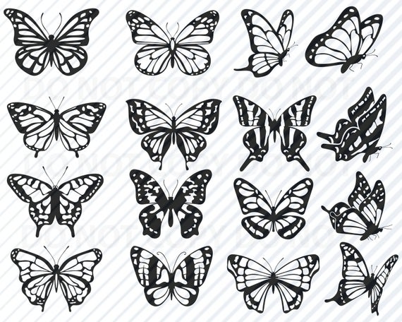 Download 1,225 Monarch butterfly vector images at Vectorified.com