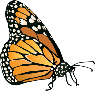 400x380 Danaus Plexippus Monarch Butterfly Insects Arachnids Vector