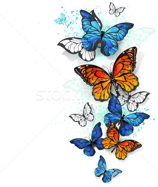 506x600 Flying Butterflies Morpho And Monarch Vector Illustration Nelli