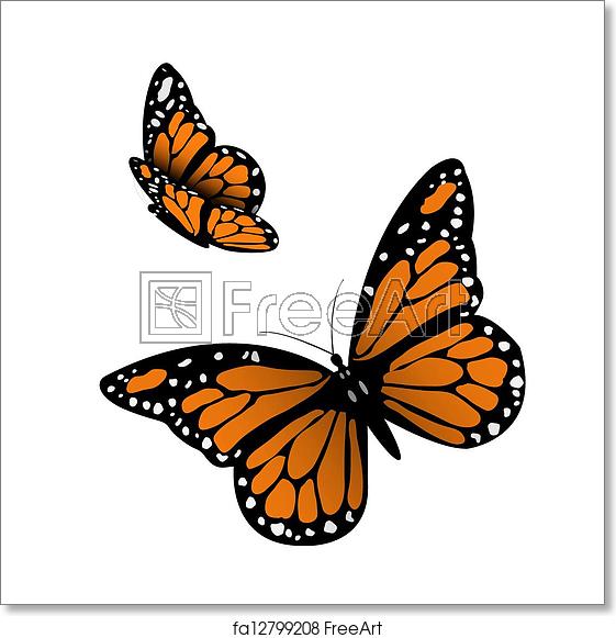 561x581 Free Art Print Of Monarch Butterfly Monarch Butterfly Vector