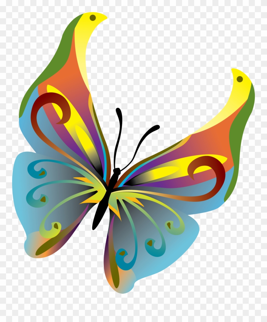 Monarch Vector at Vectorified.com | Collection of Monarch Vector free ...