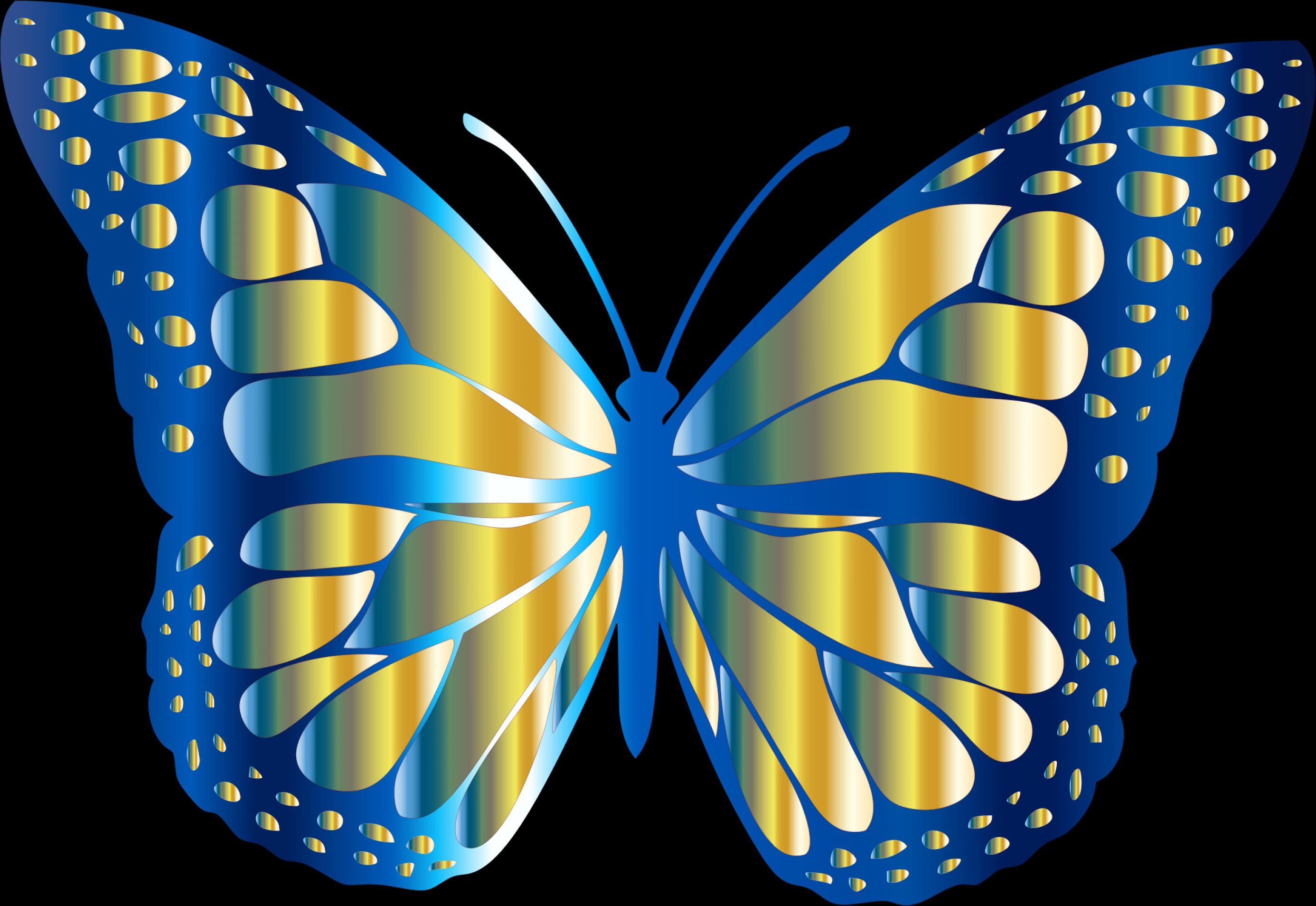 2772x1908 Blue And Gold Monarch Butterfly Vector Soidergi