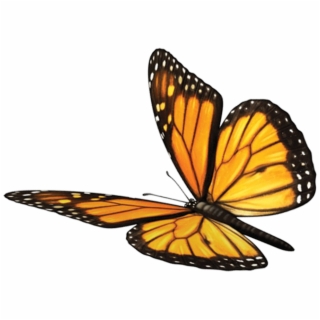 320x320 Monarch Butterfly Vector