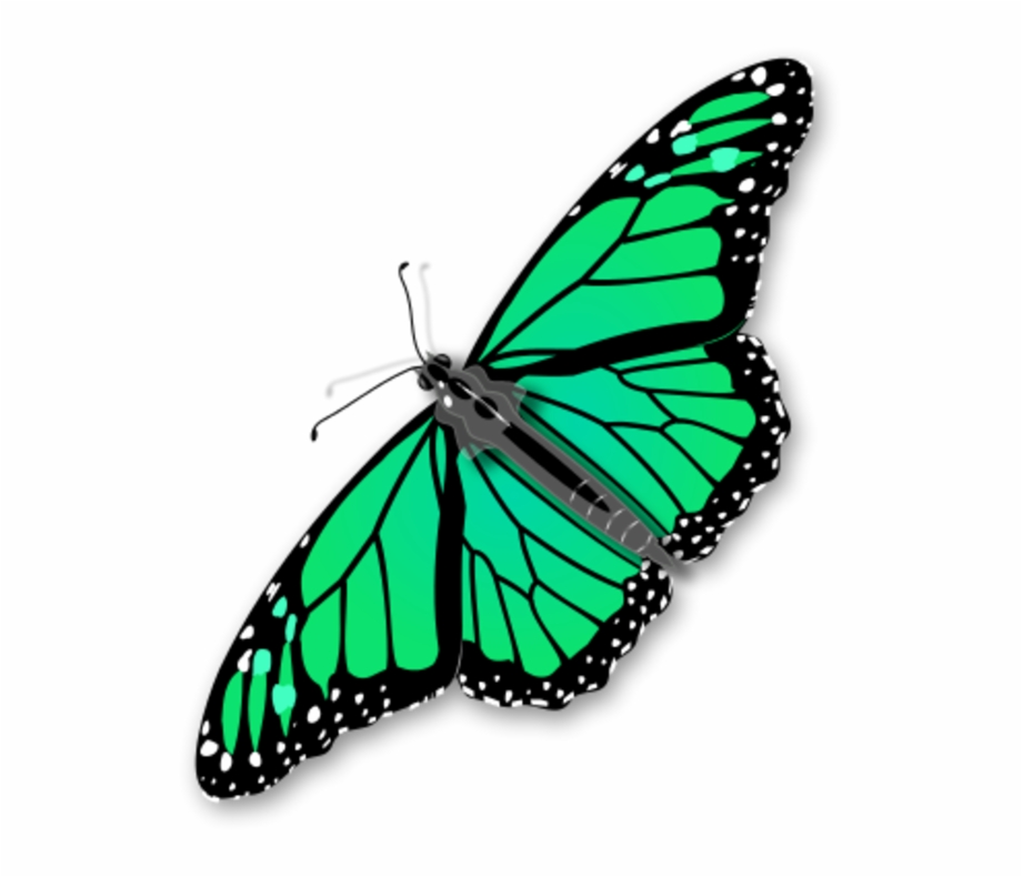 920x790 Monarch Butterfly Vector Clip Art