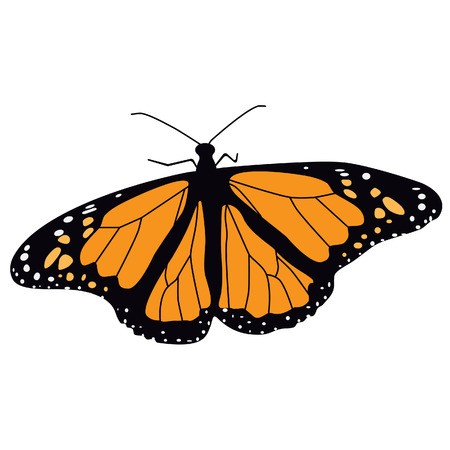 450x450 Monarch Butterfly Flying Vector Illustration Butterfly Isolated
