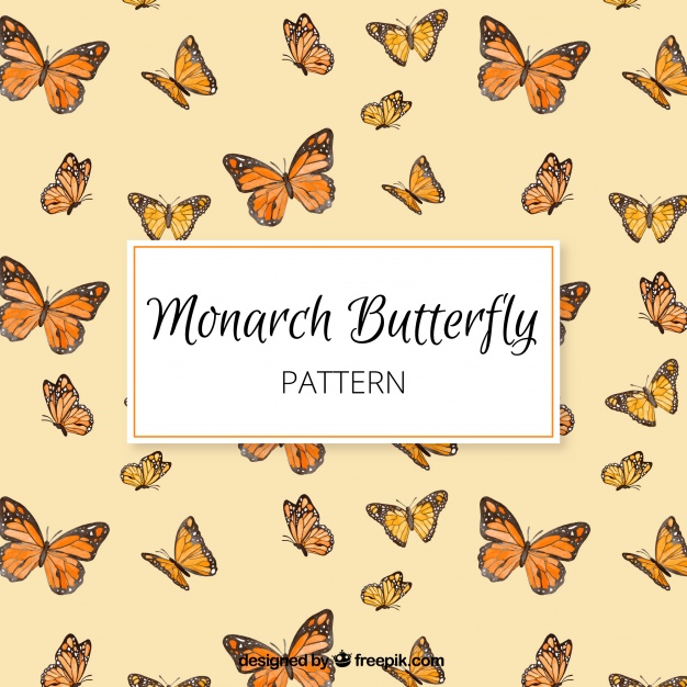 626x626 Monarch Butterfly Pattern Vector Free Download