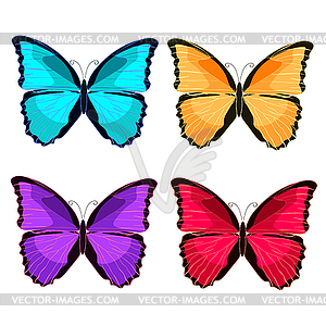 300x300 Set Blue Morpho Butterfly Monarch