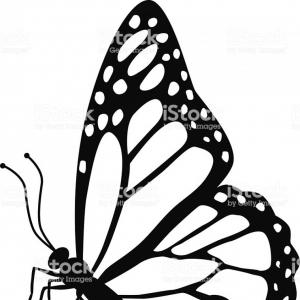300x300 Side View Red Monarch Butterfly Vector Catchsplace