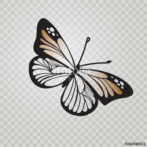 500x500 Stylized Monarch Butterfly Black Line Icon Isolated On Transparent