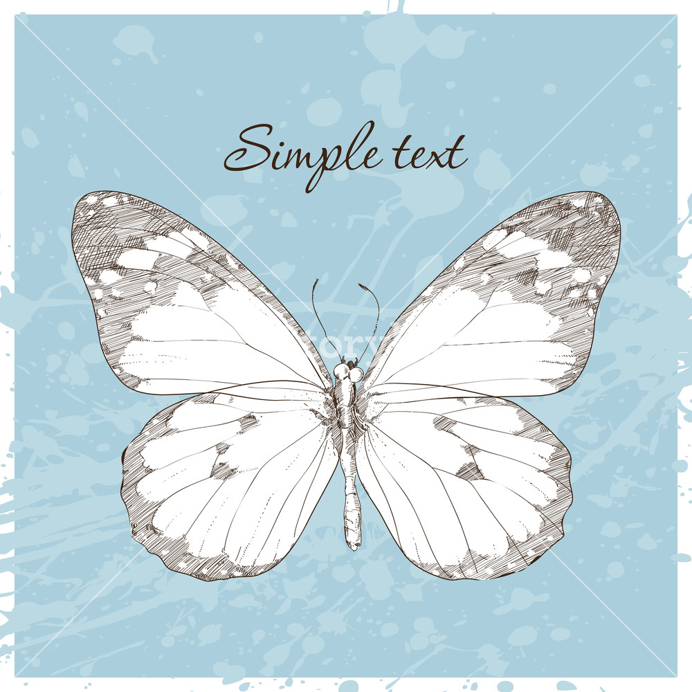 1000x1000 Vector Illustration Of A Monarch Butterfly Hand Draw Royalty