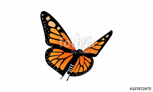 500x300 Monarch Butterfly Logo Vector Stock Image And Royalty Free Vector