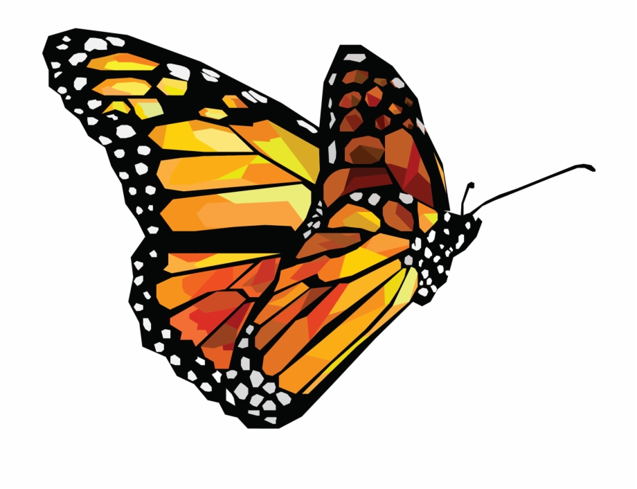 920x706 Butterfly Vector Png Png Download