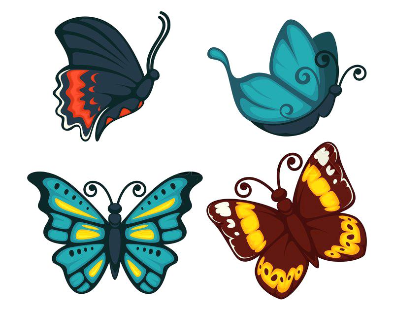 800x633 Cartoon Monarch Butterfly Cartoon Butterfly Vector Image Cartoon