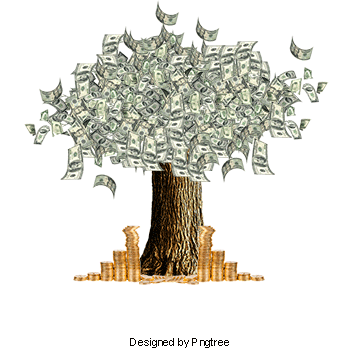 360x360 Download Free Png Money Tree Png Images Vectors
