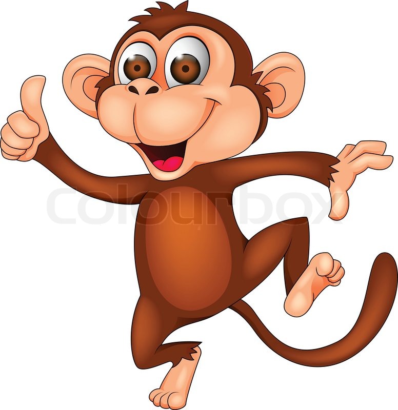 776x800 Vector Illustration Of Monkey Cartoon Stock Vector Colourbox