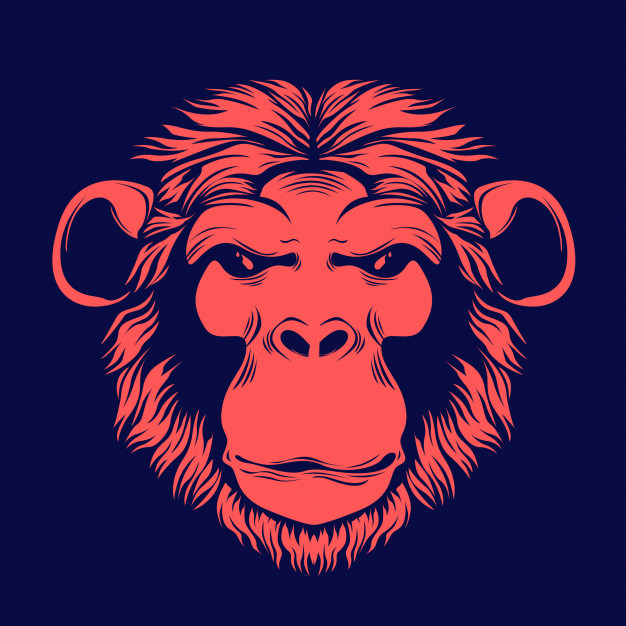 626x626 Hand Drawn Illustration Of Monkey Face Vector Premium Download