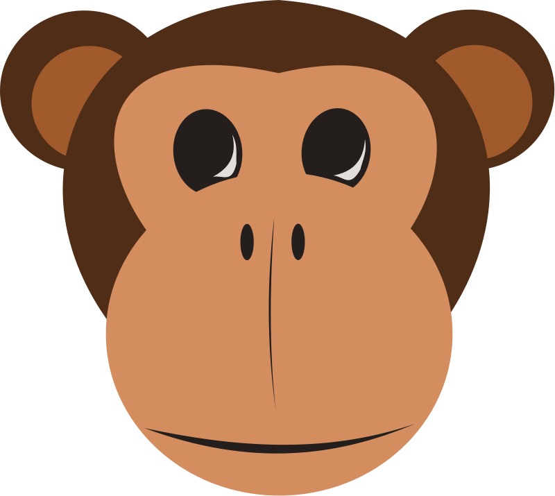 800x715 Monkey Face