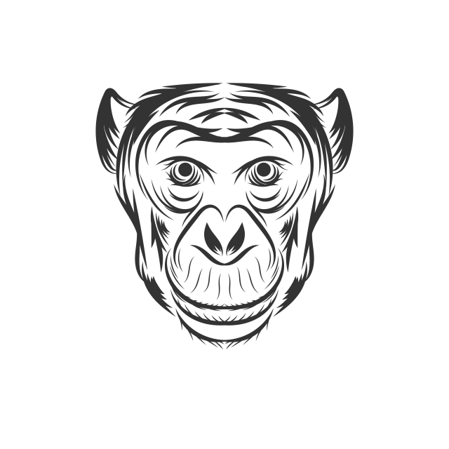 640x640 Monkey Face Png, Vector, And Clipart With Transparent