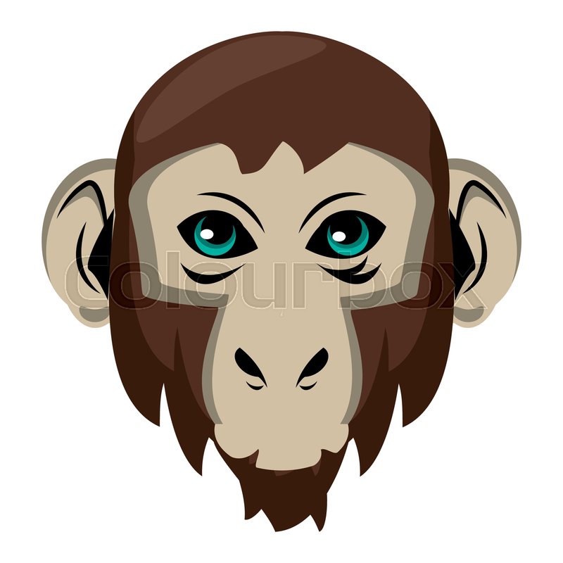 800x800 Monkey Face Cool Sketch Vector Stock Vector Colourbox