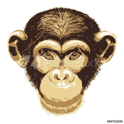 500x500 Vector Image Of Monkey Face On White Background