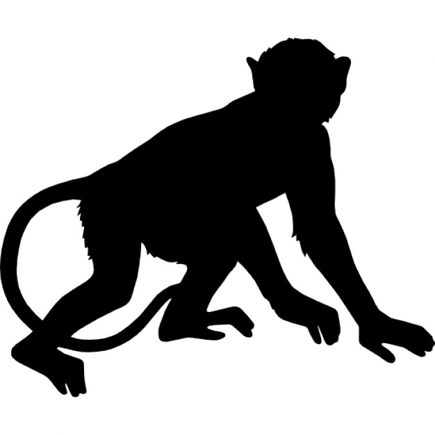626x626 Monkey Icon