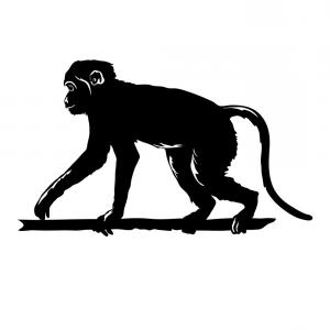 300x300 Monkey Icon Vector Logo Monkey Animal Face Vector Monkey Face