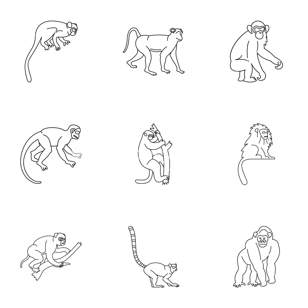 1000x1000 Monkey Icon Set Outline Set Of Monkey Vector Icons For Web