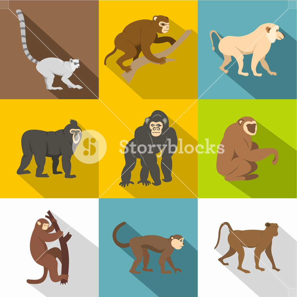 1000x1000 Tropical Monkey Icon Set Flat Style Set Of Tropical Monkey