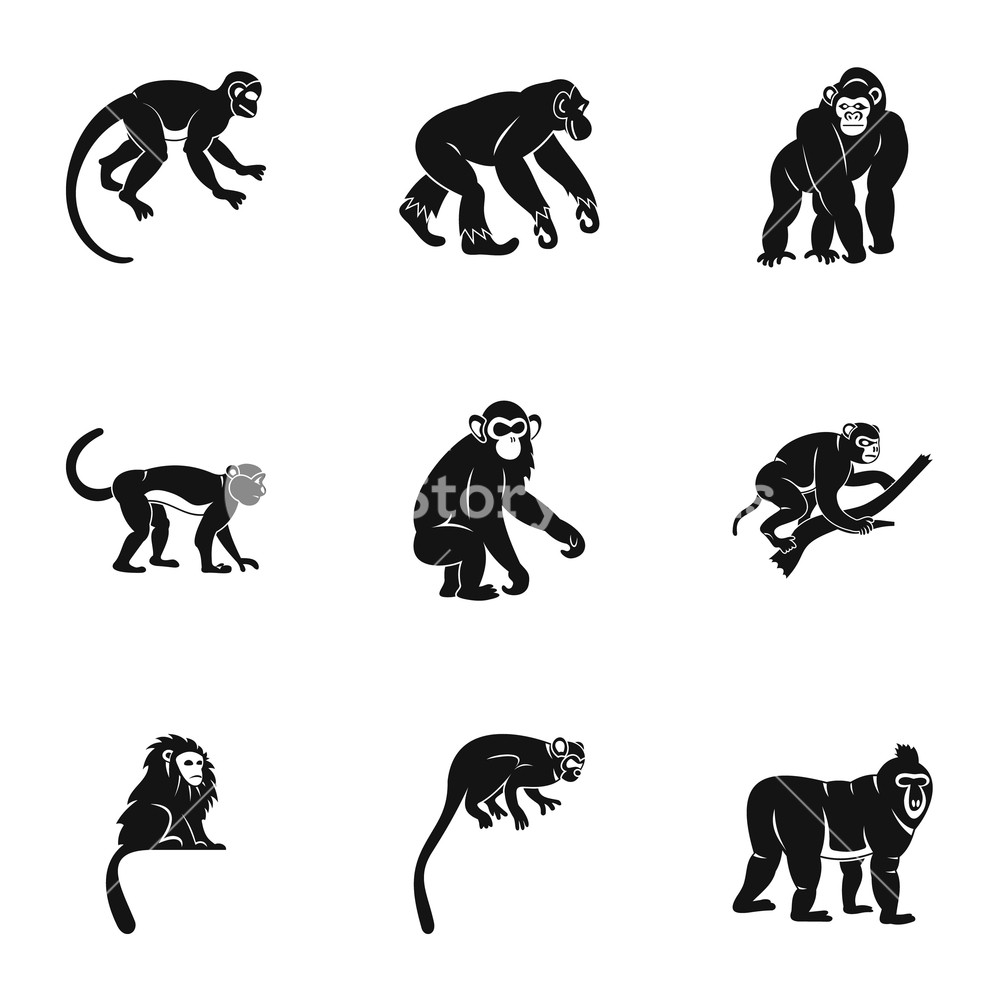 1000x1000 Tropical Monkey Icon Set Simple Set Of Tropical Monkey Vector