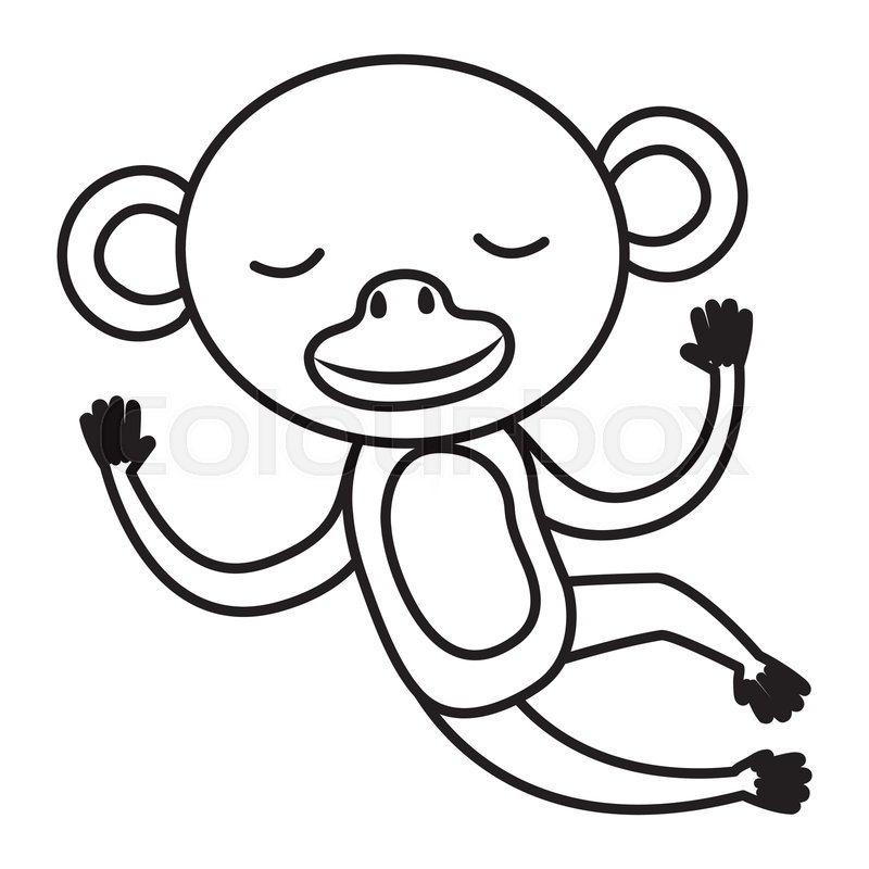 800x800 Wild Monkey Isolated Icon Vector Stock Vector Colourbox