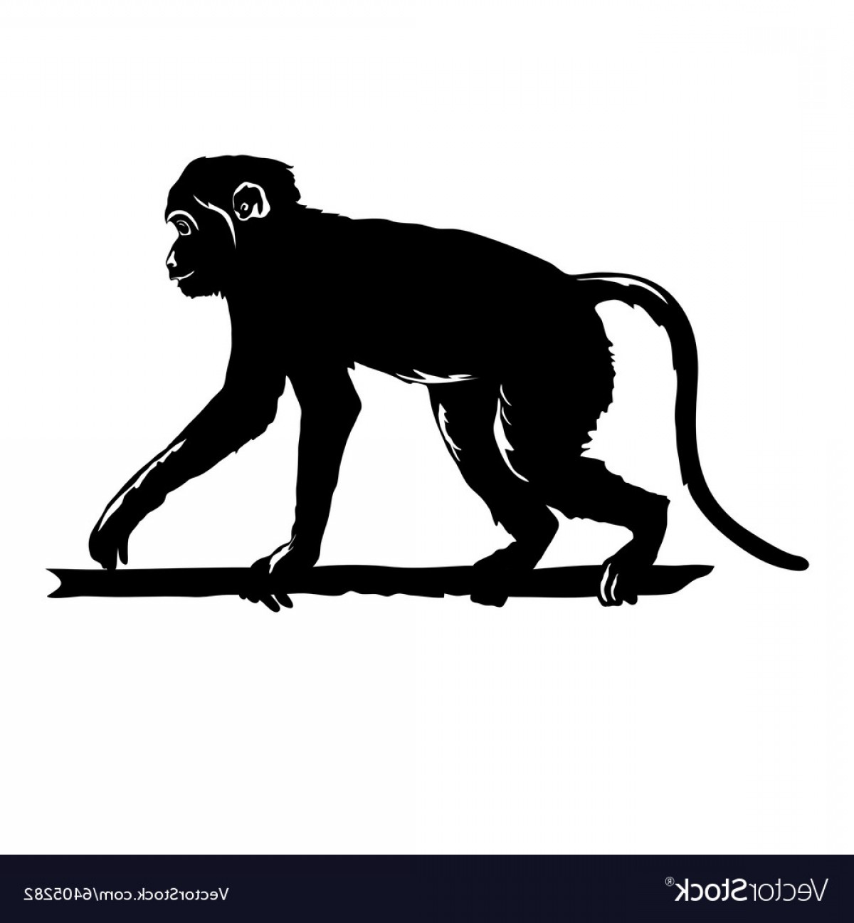 Белый силуэт обезьяны на чёрном фоне