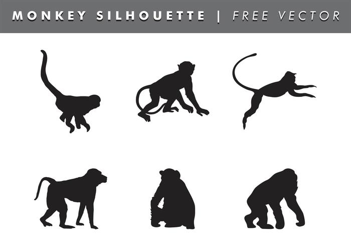 700x490 Monkey Free Vector Art