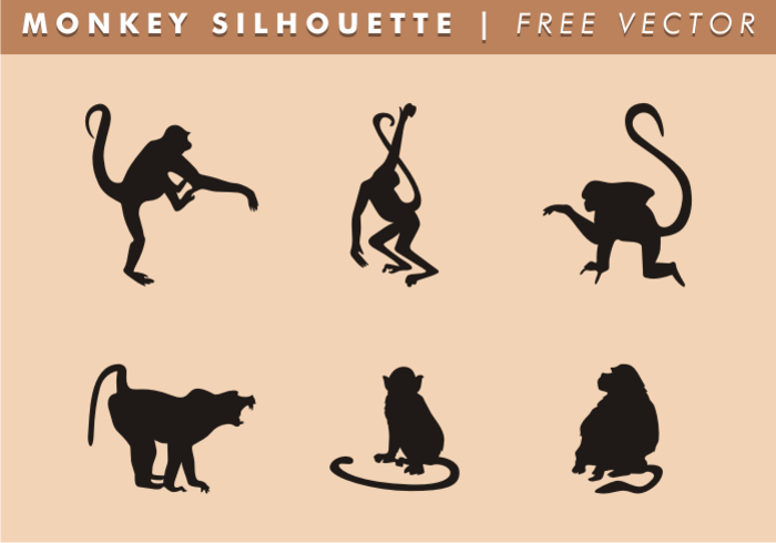 700x490 Monkey Free Vector Art
