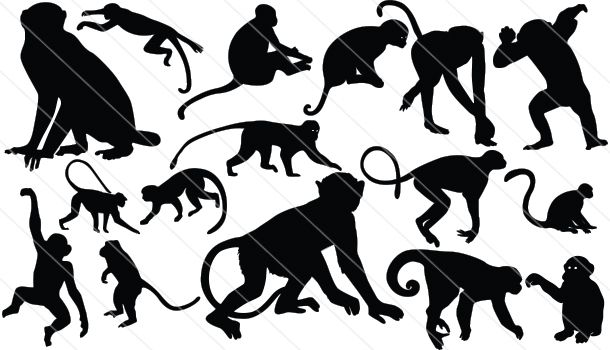 610x350 Monkey Silhouette Vector