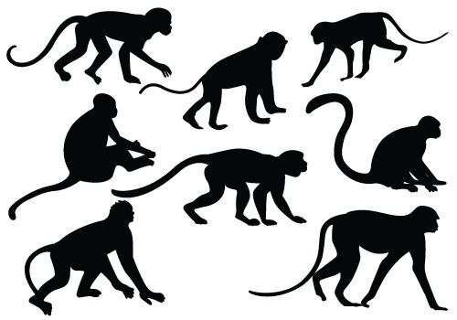 500x350 Monkey Silhouette Vector