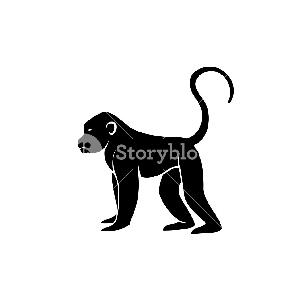 960x1000 Monkey Silhouette Vector Royalty Free Stock Image