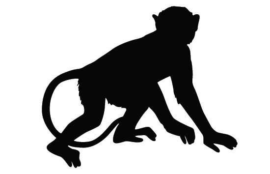 550x354 Monkey Silhouette Vector Animal Vector Graphics Animal