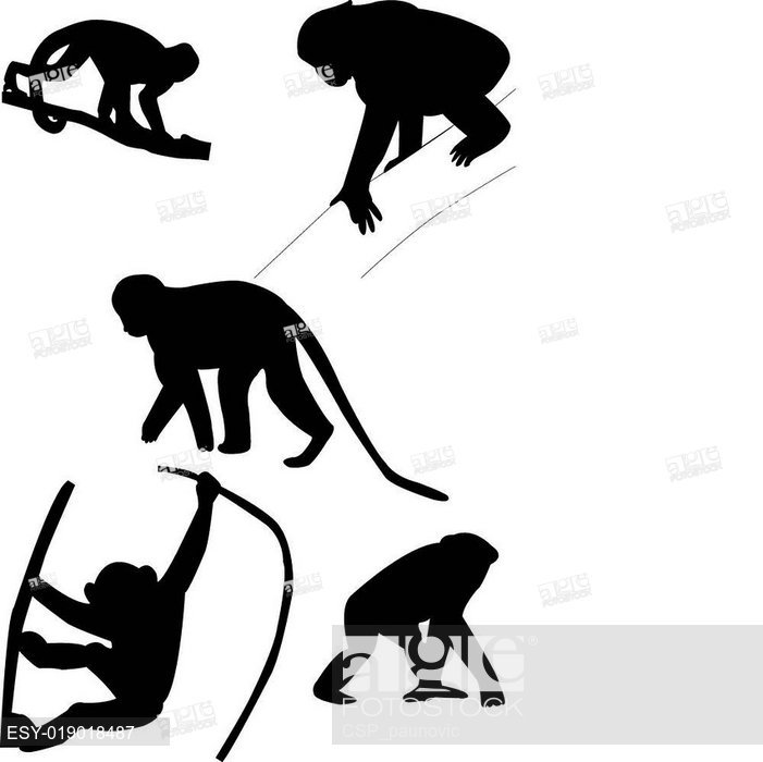 Free Free 334 Silhouette Monkey Svg Free SVG PNG EPS DXF File