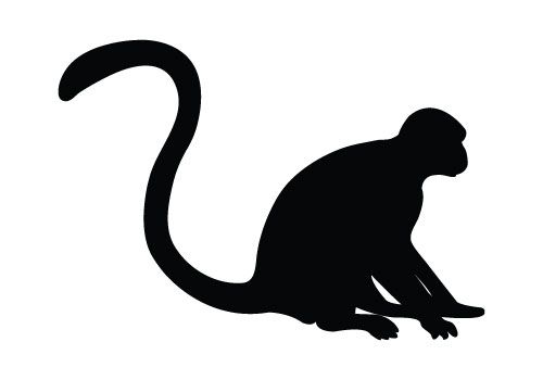 Monkey Silhouette Vector At Collection Of Monkey