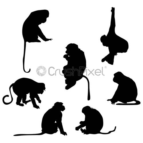 500x500 Playful Monkey Silhouettes, Stock Vector Crushpixel
