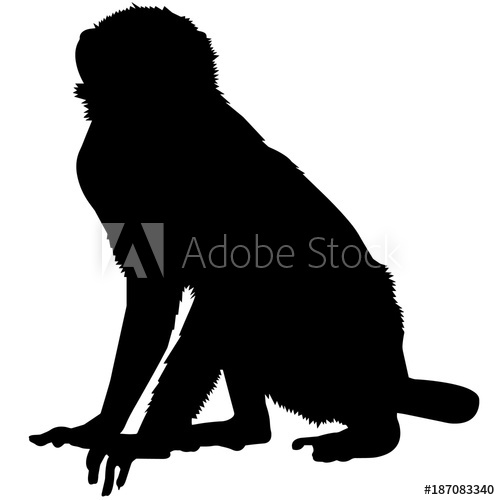 500x500 Spider Monkey Silhouette Vector Graphics