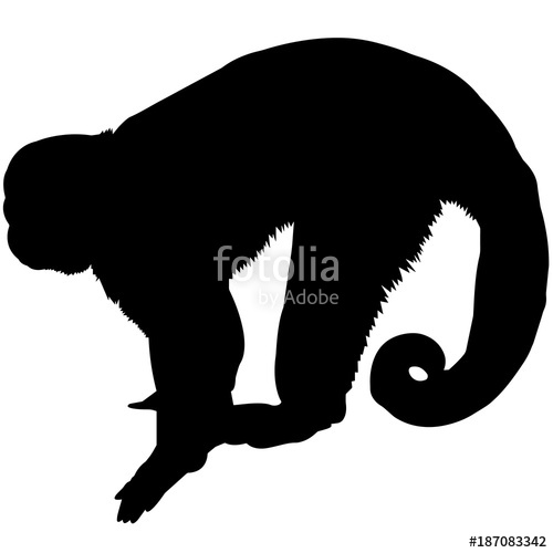 500x500 Spider Monkey Silhouette Vector Graphics Stock Image And Royalty