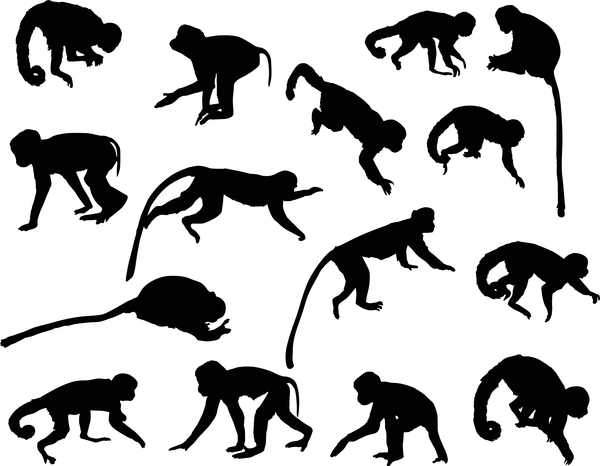 600x466 Animal Monkey Silhouette Vector Free Download
