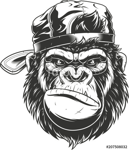 Monkey's Head In A Baseball Cap Stock Image And Royalty Free 431x500 Monkey's Head In A Baseball Cap Stock Image And Royalty Free