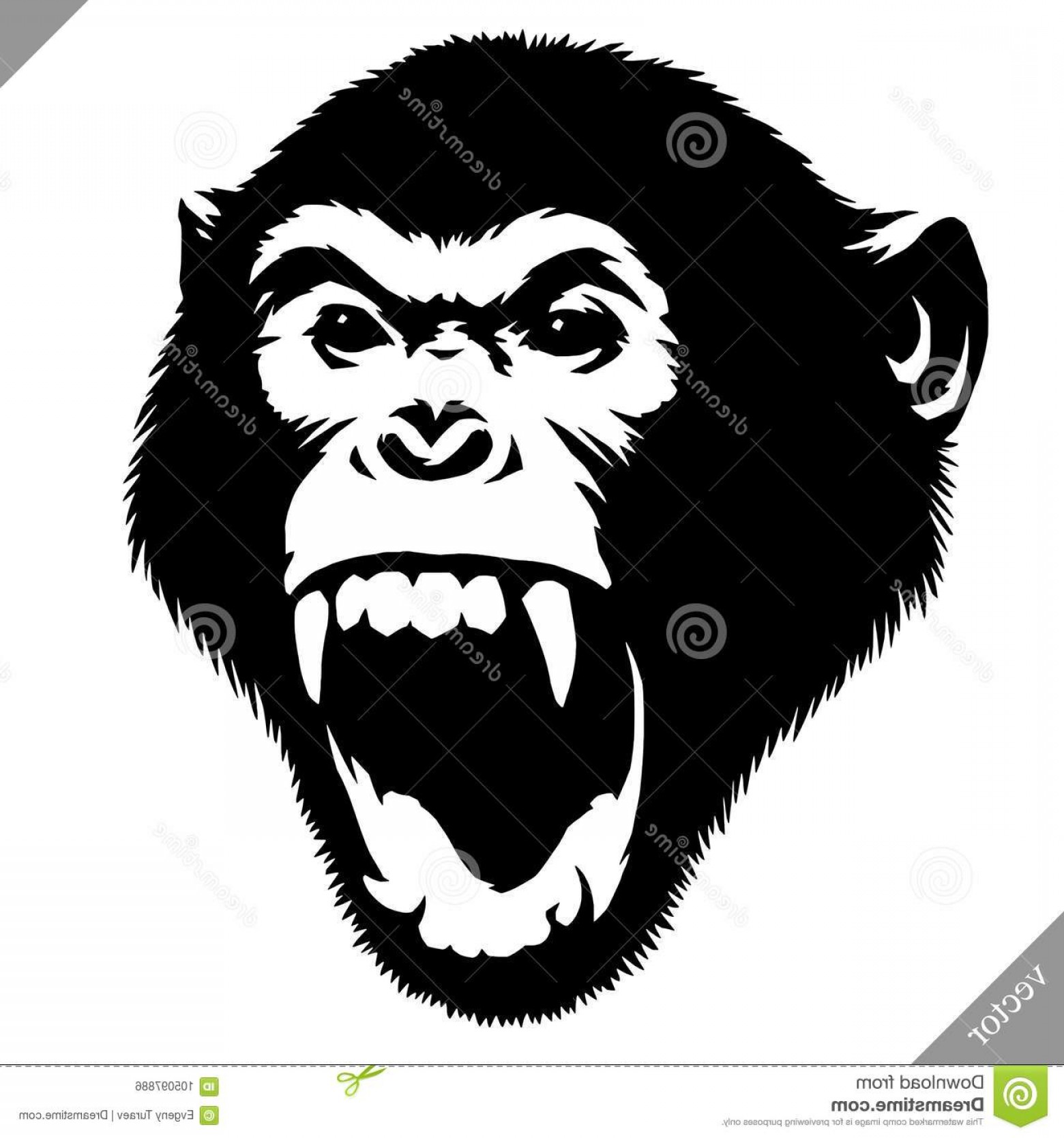 Monkey Vector Lamaison 1560x1668 Monkey Vector Lamaison