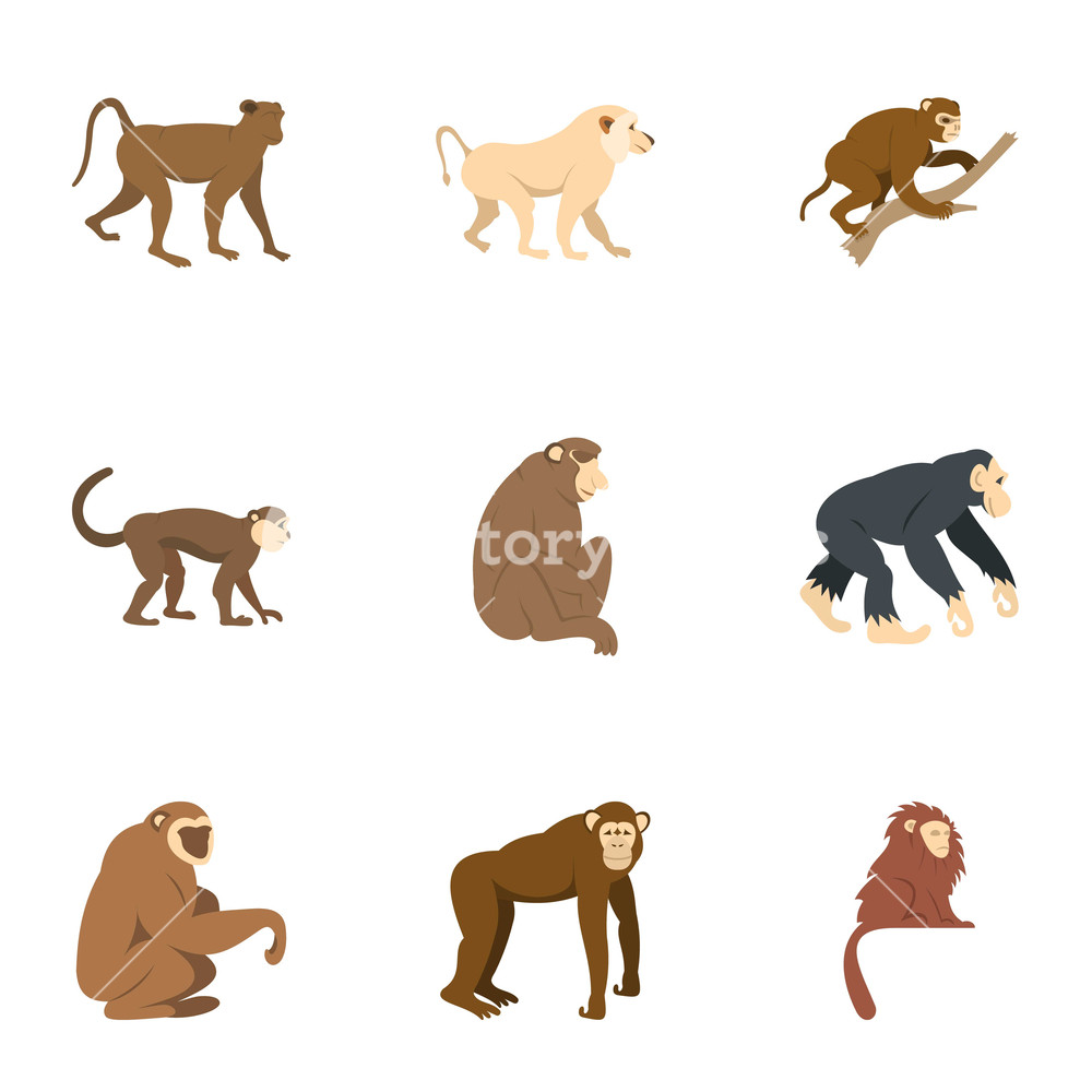 Monkey Vector at Vectorified.com | Collection of Monkey Vector free for ...