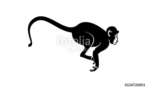 Monkey Vector Stock Image And Royalty Free Vector 500x300 Monkey Vector Stock Image And Royalty Free Vector