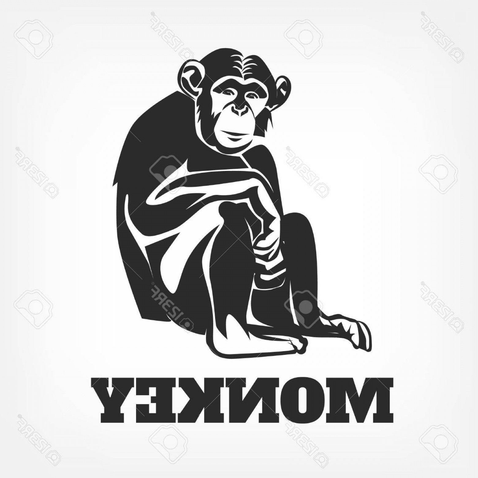 Photostock Vector Vector Monkey Black Illustration Soidergi 1560x1560 Photostock Vector Vector Monkey Black Illustration Soidergi